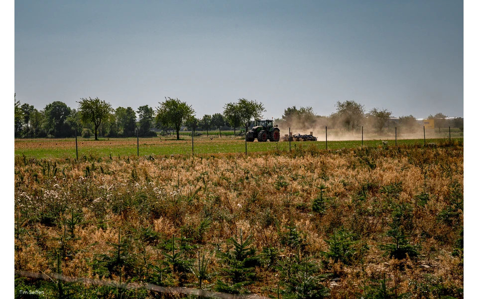 Anröchte-Klieve_Feld mit Traktor_2025 (c) Tim Seiffert.jpeg