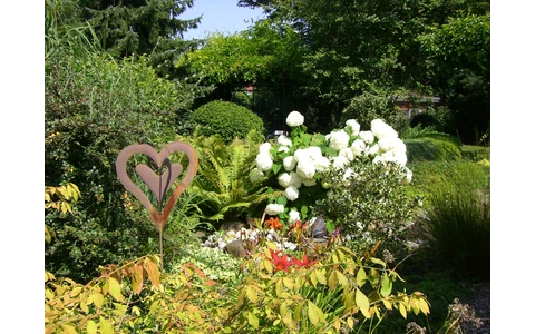 9_Annes gartentraum - Feuser