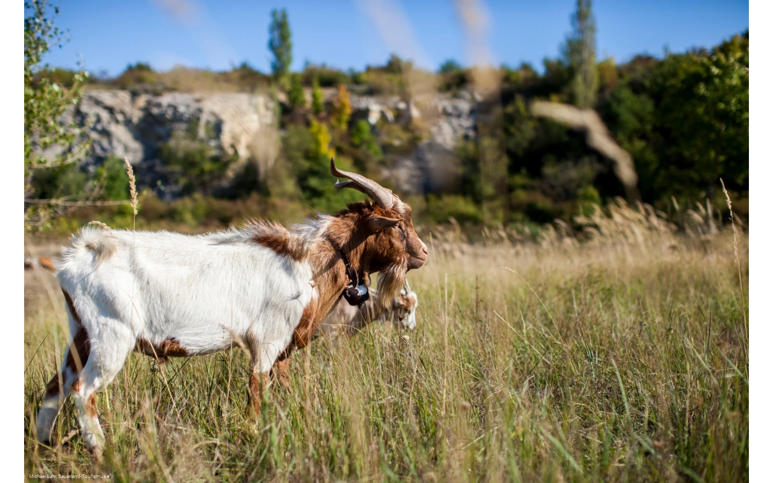 Dyckerhoff Park Dyckerhoff Park