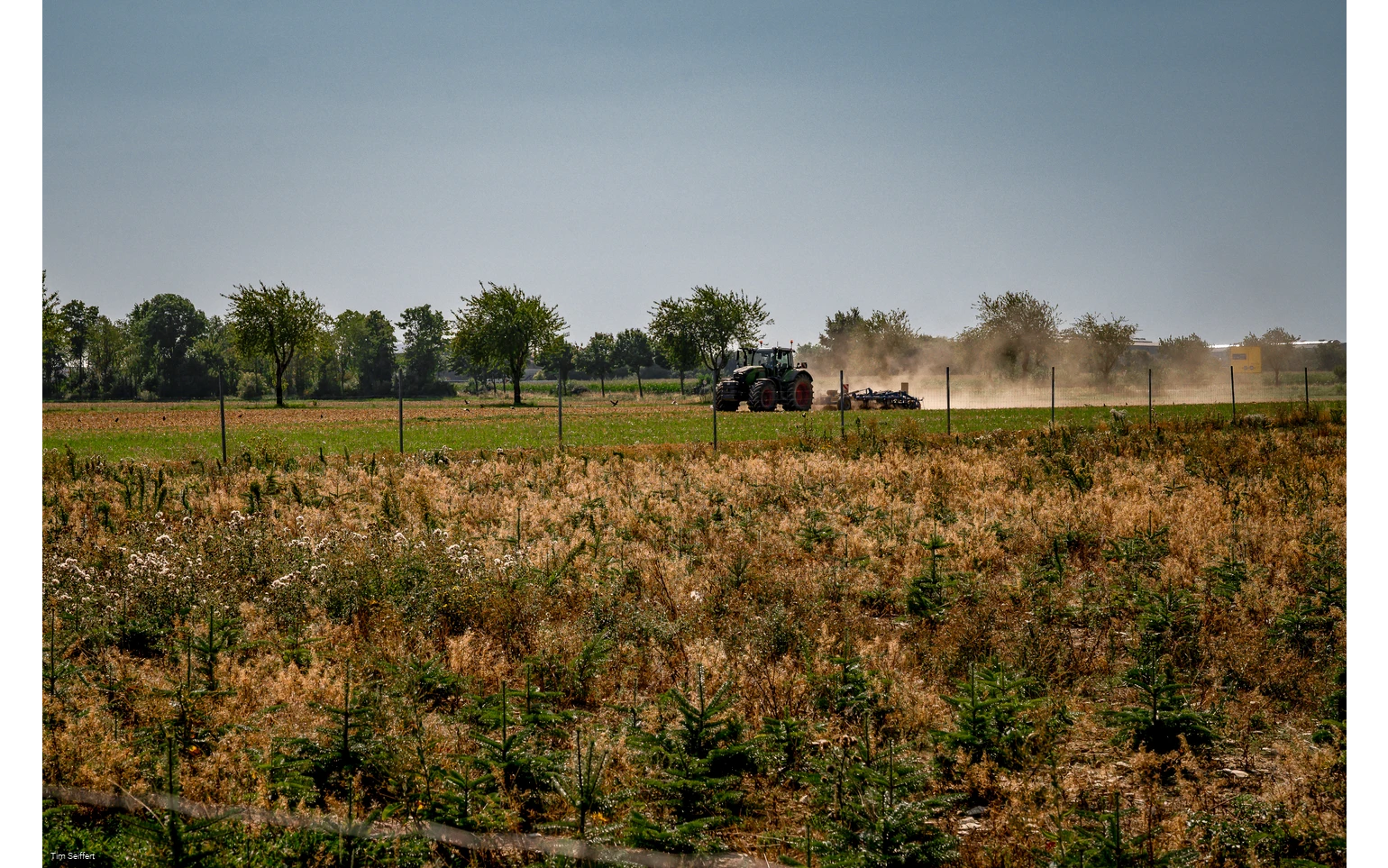Anröchte-Klieve_Feld mit Traktor_2025 (c) Tim Seiffert.jpeg