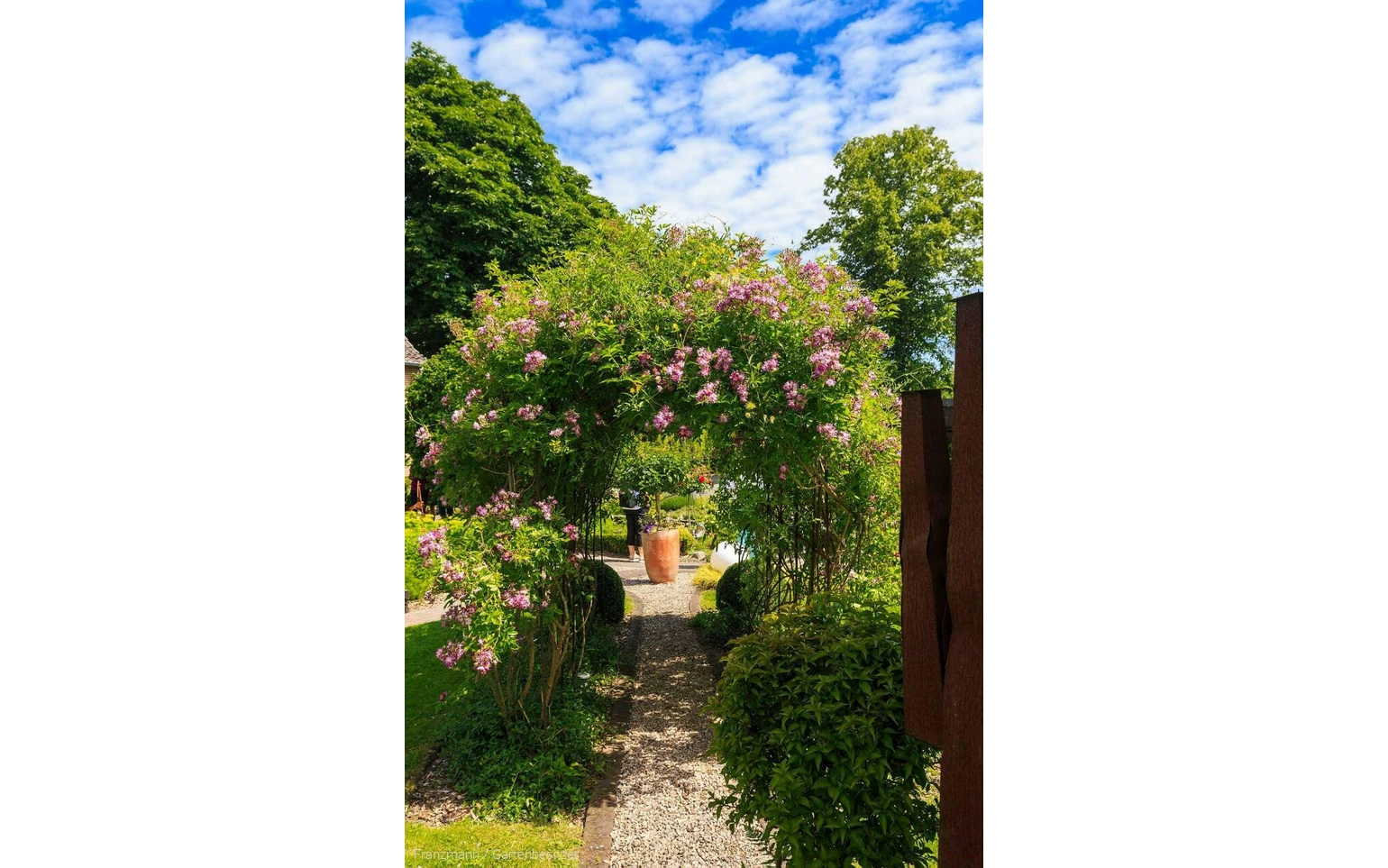 Gartenoa(h)se Franzmann