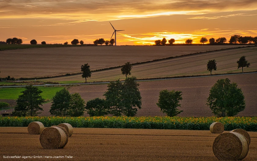 Über die Haar bei Sonnenuntergang