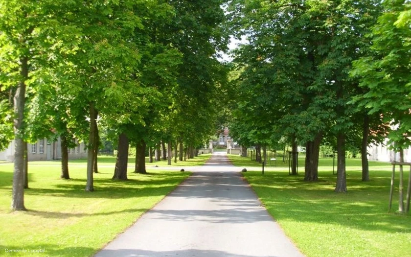 Schloss Hovestadt - Allee