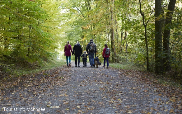 Wandern Am Möhnesee