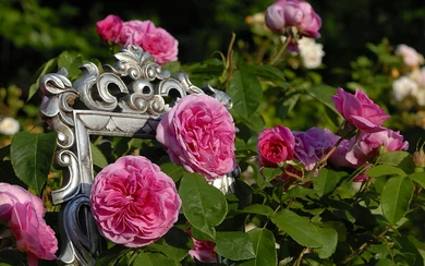 Titelbild Gärten.jpg