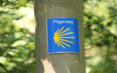 Pilgerweg-Jakobsmuschel.jpg
