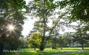 Bad Waldliesborn Kurpark