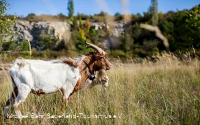 Dyckerhoff Park Dyckerhoff Park