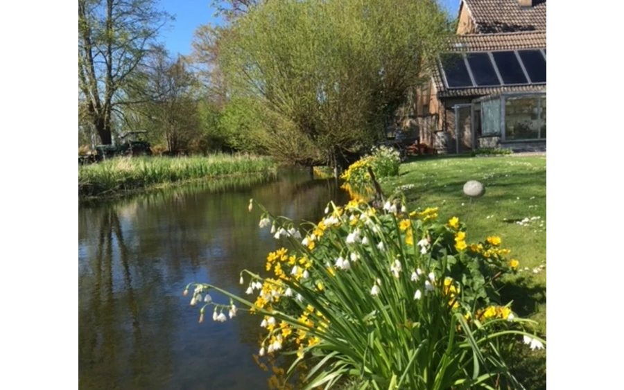 Nebenarm Ahse 2024.JPG