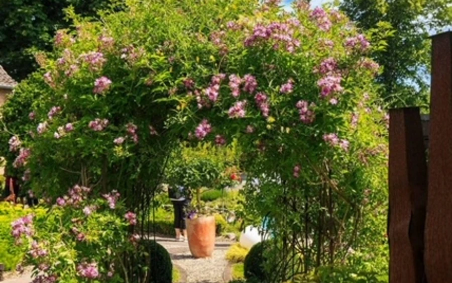 Roesenbogen 2024.JPG