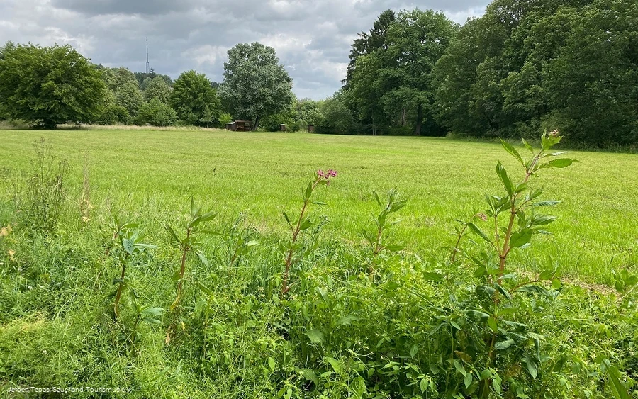 Rundwanderweg Haus Welschenbeck