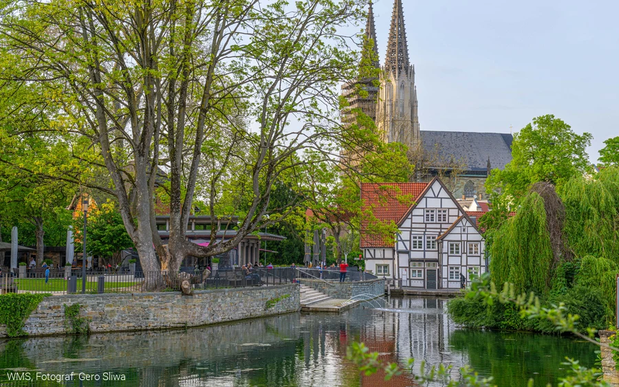 Der große Teich in Soest. Im Hintergrund ist ein Fachwerkhaus zu sehen. Das ist die Tourist-Information.