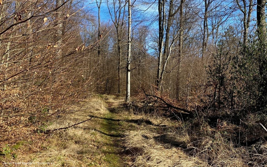 Trail Tour 47