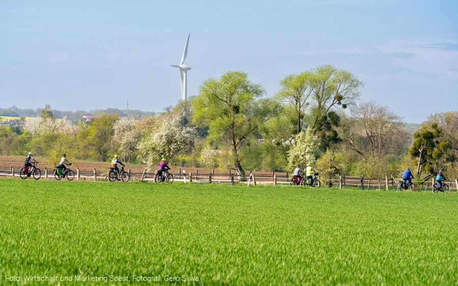 Fahrräder auf einem Feldweg um Soest Foto: Wirtschaft und Marketing Soest, Fotograf: Gero Sliwa