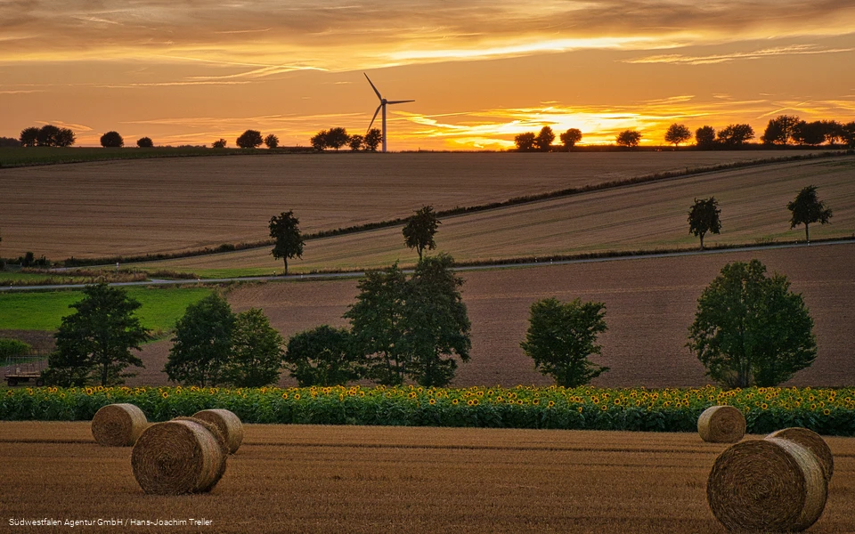 Über die Haar bei Sonnenuntergang