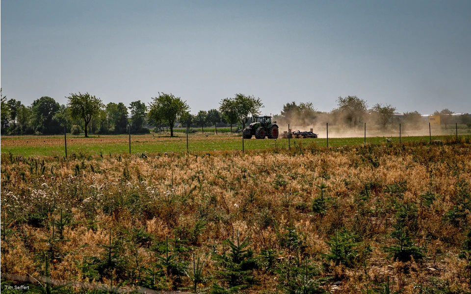 Anröchte-Klieve_Feld mit Traktor_2025 (c) Tim Seiffert.jpeg