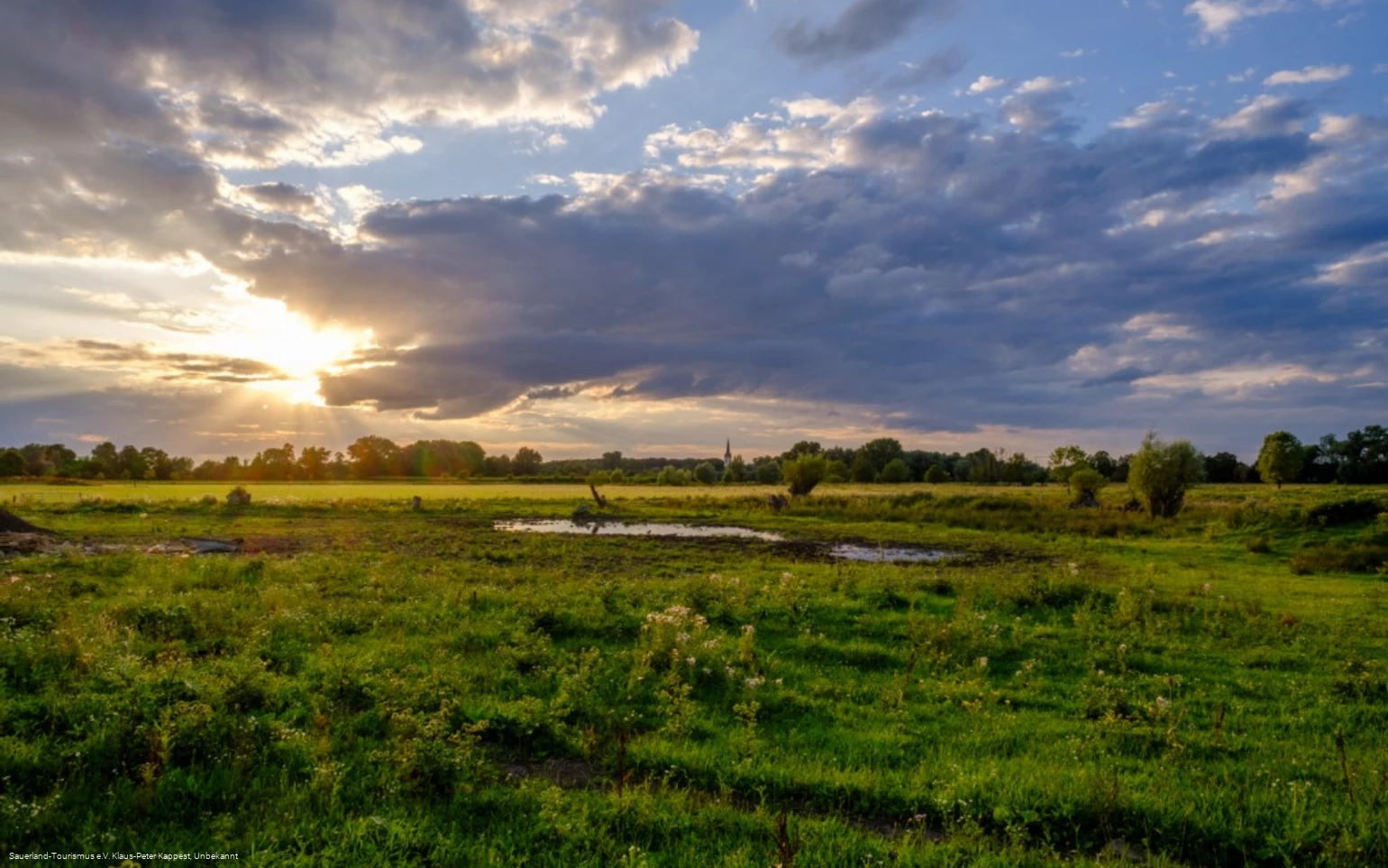 Naturschutzgebiet Woeste Bad Sassendorf