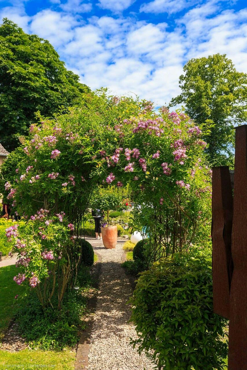 Gartenoa(h)se Franzmann