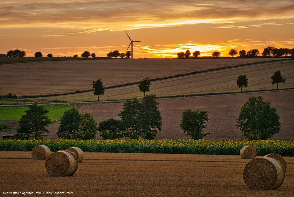 Über die Haar bei Sonnenuntergang