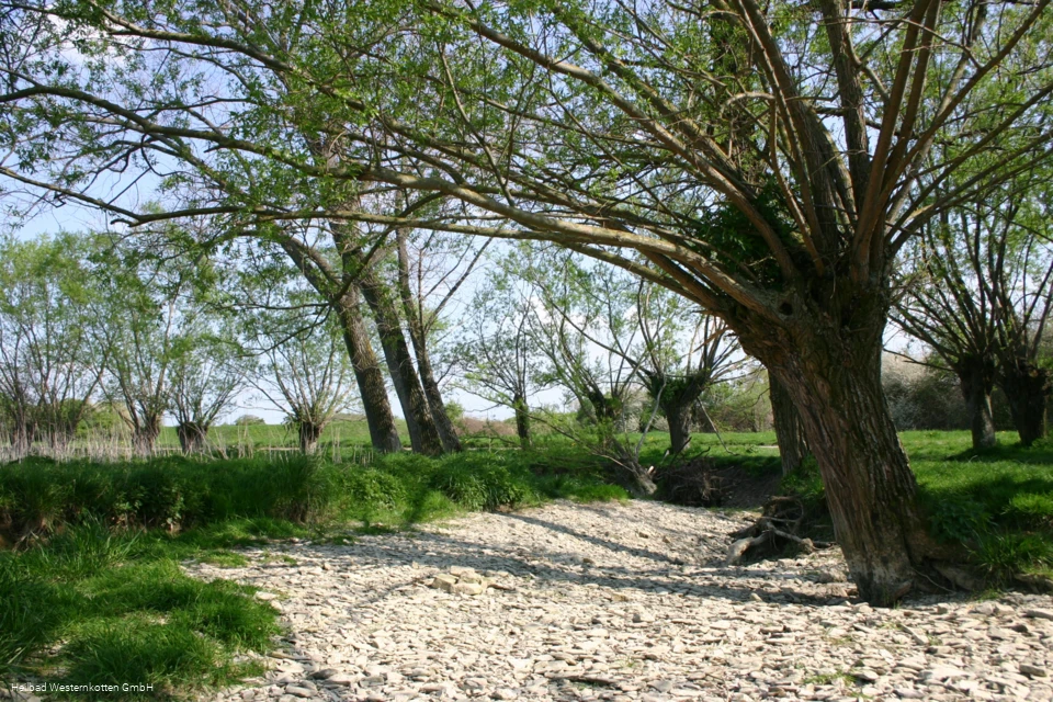 Naturschutz- & Erholungsgebiete Pöppelschetal