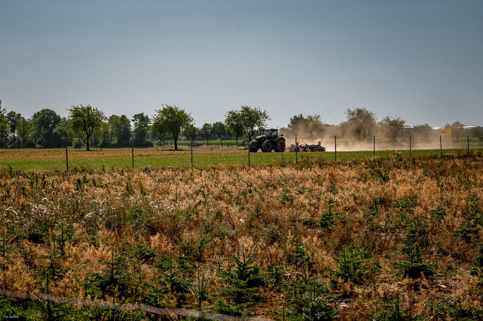 Anröchte-Klieve_Feld mit Traktor_2025 (c) Tim Seiffert.jpeg Anröchte-Klieve_Feld mit Traktor_2025 (c) Tim Seiffert.jpeg