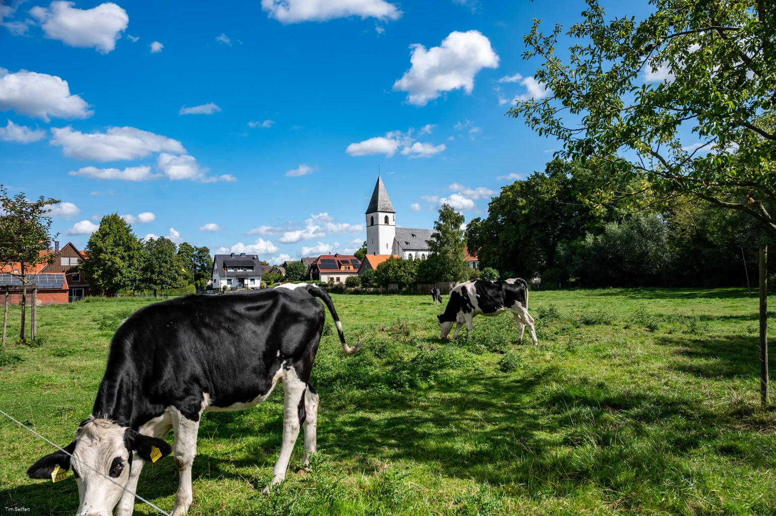 Welver-Dinker_Ahseweg_2025(c) Tim Seiffert.jpeg