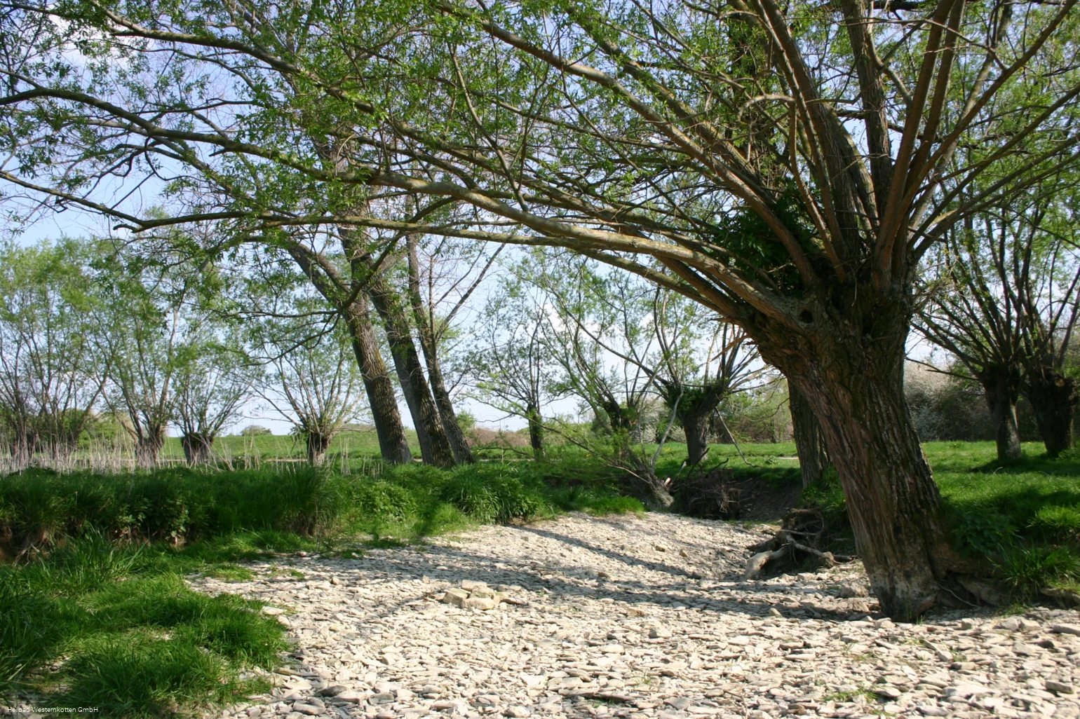 Naturschutz- & Erholungsgebiete Pöppelschetal